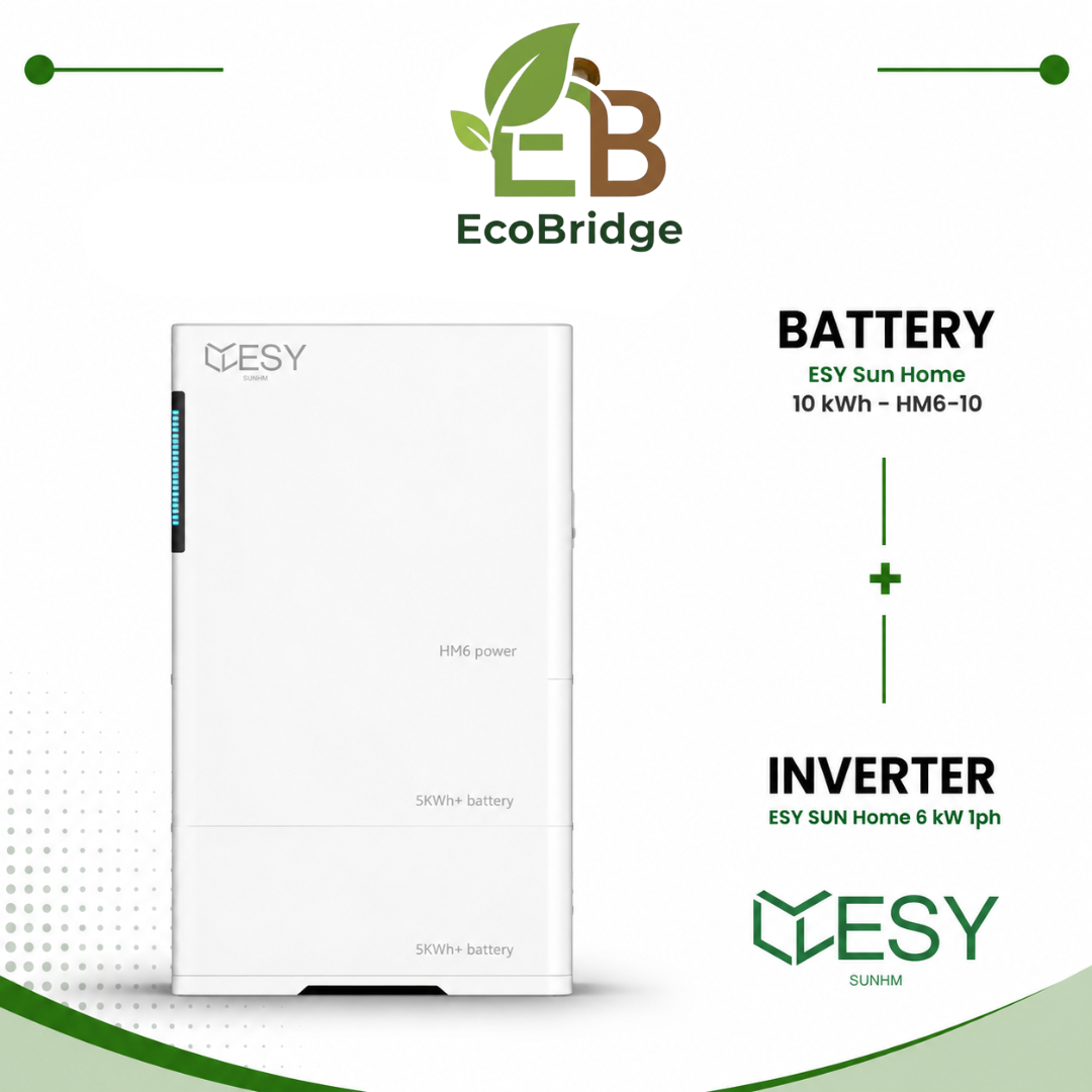 ESY Sun Home 10 kWh Battery + 6 kW Single-Phase Hybrid Inverter